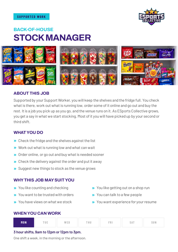 Cover of the Stock Manager supported work role card