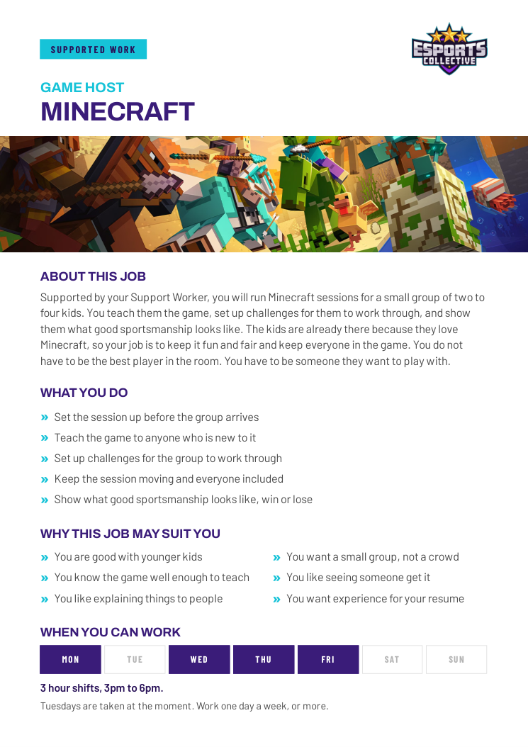 Cover of the Minecraft supported work role card